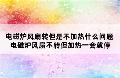 电磁炉风扇转但是不加热什么问题 电磁炉风扇不转但加热一会就停